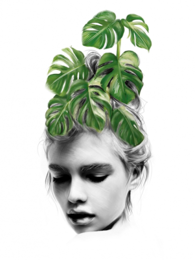Monstera